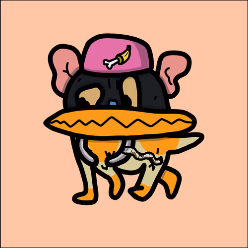 Apedogwtf