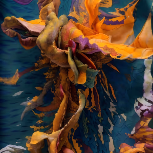 Winds of Yawanawa #169 by Yawanawa and Refik Anadol