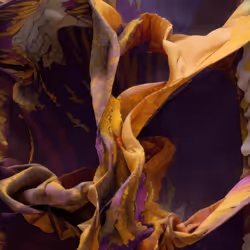 Winds of Yawanawa #266 by Yawanawa and Refik Anadol