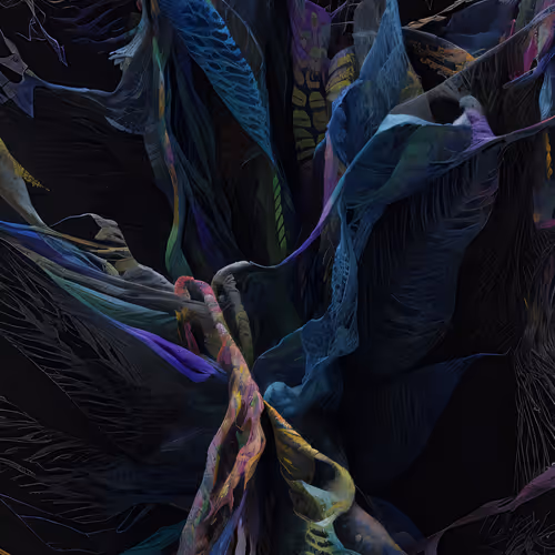 Winds Of Yawanawa