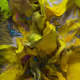 121