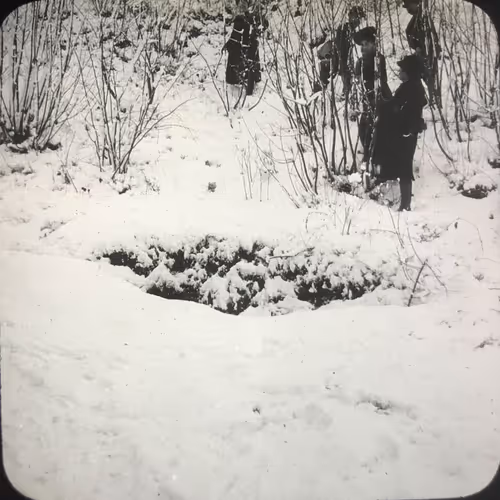 Snow #2/3