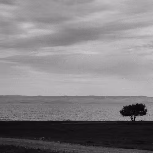 Some Analog Pictures