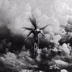And Like A Phoenix I Rise 