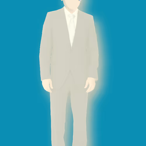 Biden Digital Trading Cards