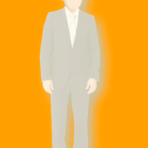 Biden Digital Trading Cards