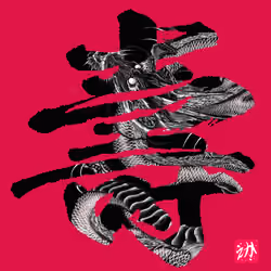 龍寿