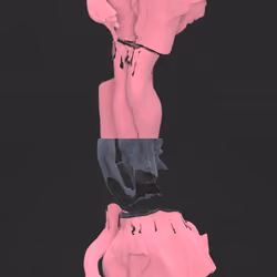 040706080505030202