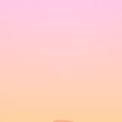 584