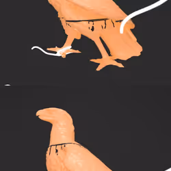 041404030303010101