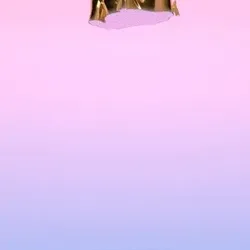 610