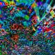295