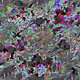 121