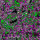 347