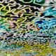 242