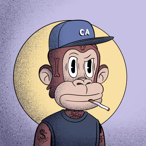 Cel Apes #894