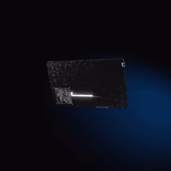 Passport 924