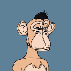  PUNK’D APE #1045