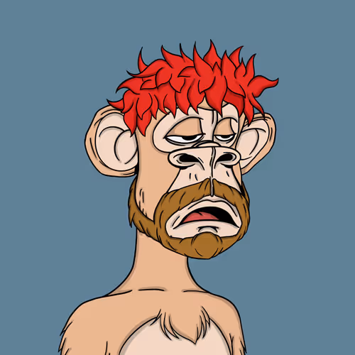 Punkd Apes