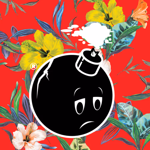 Adam Bomb Squad
