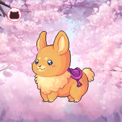 Seggs Phase 2 #458.