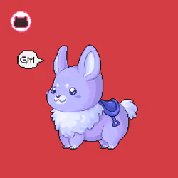 446