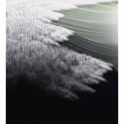 Stride #105