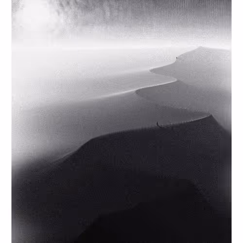 Stride By Mut