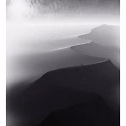 Stride #11