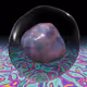579