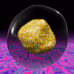Meta-morphic: Seven Treasures #478