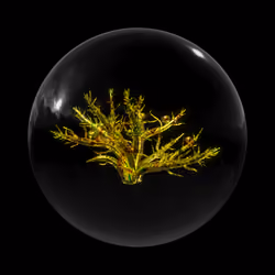 Meta-morphic: Seven Treasures #902