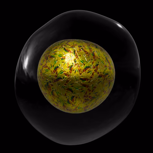Meta-morphic: Seven Treasures #344