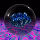 Meta-morphic: Seven Treasures #636