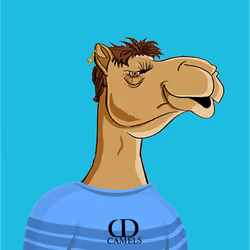 OmniCamels #444
