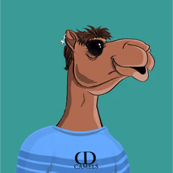 OmniCamels #23