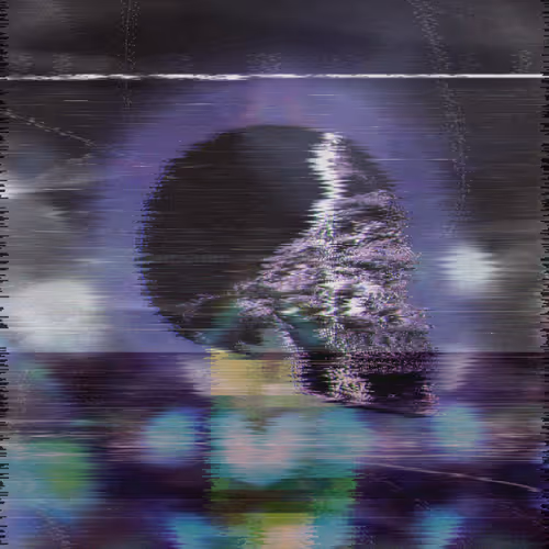 Odexo Prism