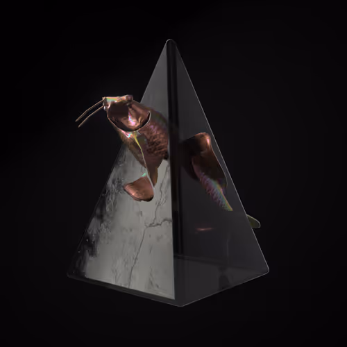 Fvck Crystal