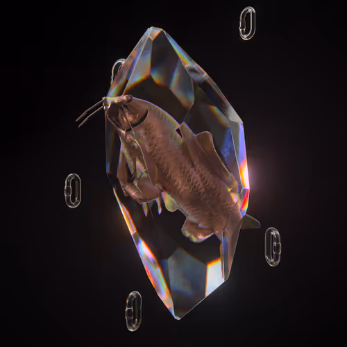 Fvck Crystal