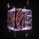 FVCK_CRYSTAL// #352