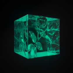 FVCK_CRYSTAL// #2551