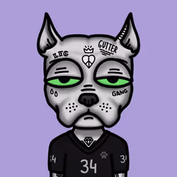 51