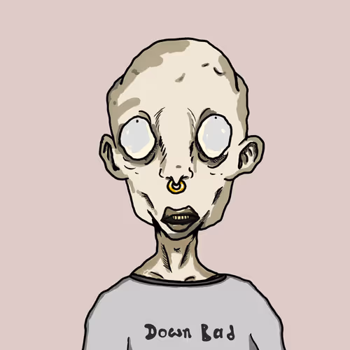 Down Bad Degen