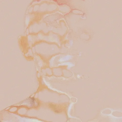 Journey Through Lens