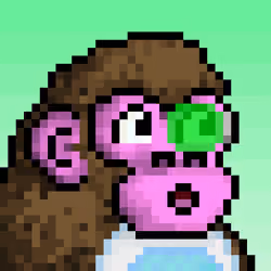 CyberKong #4554