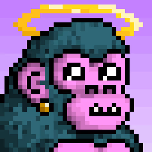 Cyberkongz Evolution