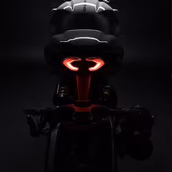 81
