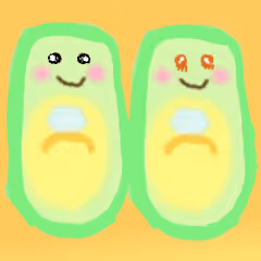 Item #10380000601 Media