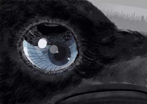 Item #10224000101 Media