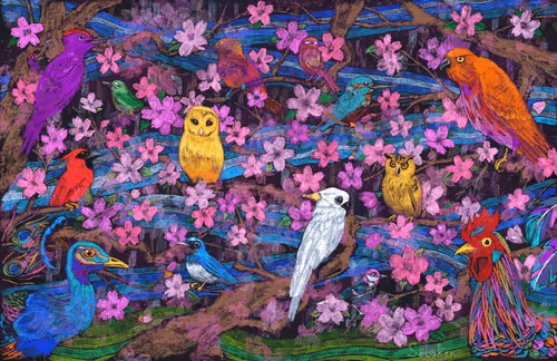 Item #10554000101 Media